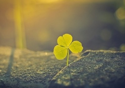 时尚潮流的说说：原来，错过的不止是青春，还